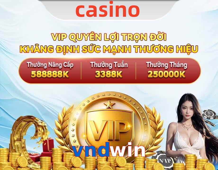 vndwin