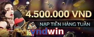 vndwin