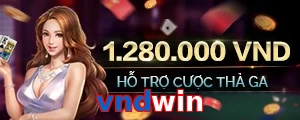 vndwin