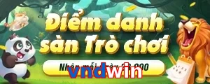 vndwin