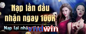 vndwin