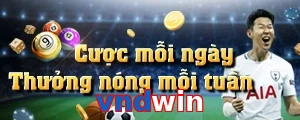 vndwin