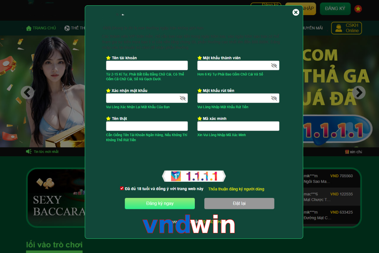 vndwin